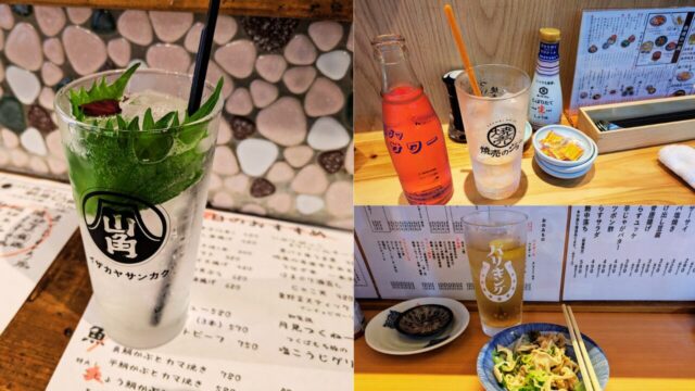 居酒屋にある金魚サワー、バイスサワー、バリキングサワーなど変わったサワーの写真